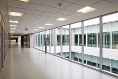 CENTRO NACIONAL DE RECURSOS GENÉTICOS 007