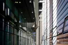 CENTRO NACIONAL DE RECURSOS GENÉTICOS 008
