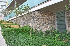EL VIVERO 003