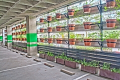 EL VIVERO 008