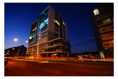 SONY DSC