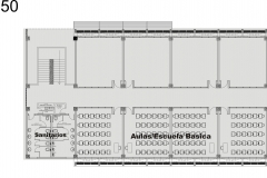 PLANTA 4 50