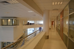57d858388698dFOTO_UNIVERSIDAD_AUSTRAL_PA