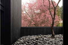 WALLACE STREET HOUSE 005