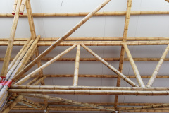 dav