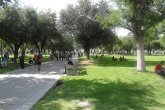 ALAMEDA CENTRAL 003