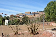 ALBZACATECAS (21)