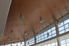 ALBZACATECAS (5)