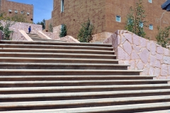 ALBZACATECAS (6)