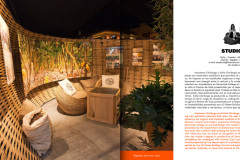 imagen-2