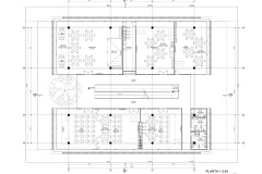 PLANTA-PRIMERa
