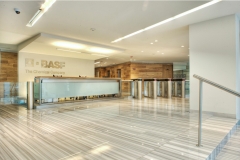 BASF 003