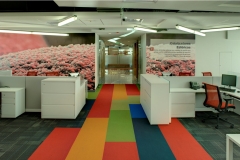 BASF 005