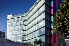 Basf 009