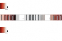 2. Animation Stills copy