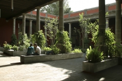 EG_119646