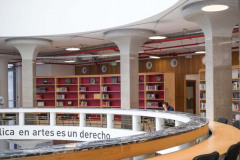 imagen-13