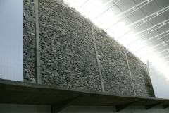 BOD12