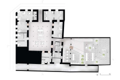 planta alta