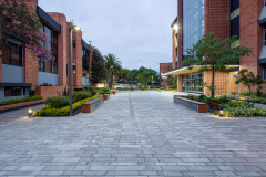 UNIVERSIDAD DEL AZUAY