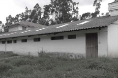 imagen-11