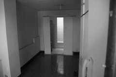 imagen-3