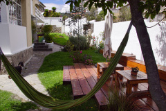 imagen-8