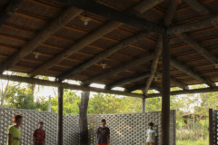 imagen-5