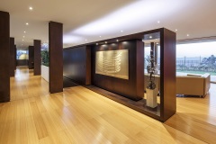 imagen-10