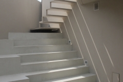CASA EN TIGRE. 002