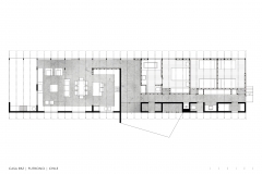 PL_PLANTA37609_001
