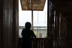 57dc55289446dDSC07084