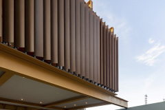 imagen-1