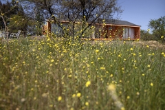 CASA MJ (12)