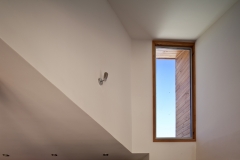 CASA MJ (6)