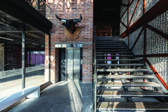 imagen-8