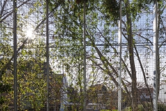 57d3243f56f1410.Casa_Silvina_y_Omar_-_Ph.Federico_Cairoli_(low)