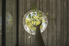 imagen-12