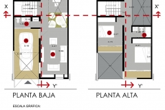 57d1a49540d70plantas