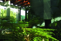 F3 Casa Trapiche003