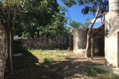 ANTES 4 CASA XOLOTL