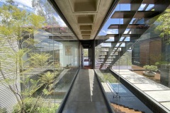 imagen-6