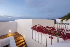 imagen-2