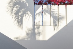 imagen-6
