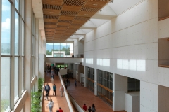 Centro Cultural Julio Mario SantoDomingo (15)
