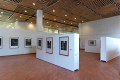 Centro Cultural Julio Mario SantoDomingo (26)