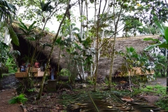 CENTRO DE INTERPRETACION DEL CACAO 001