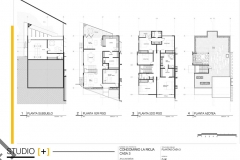 Layout1