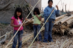 Construcción participativa de un Wawawasi con Quincha Modular .FOTO PUBLICACION 006