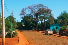 Lamina1_Tira_foto_06